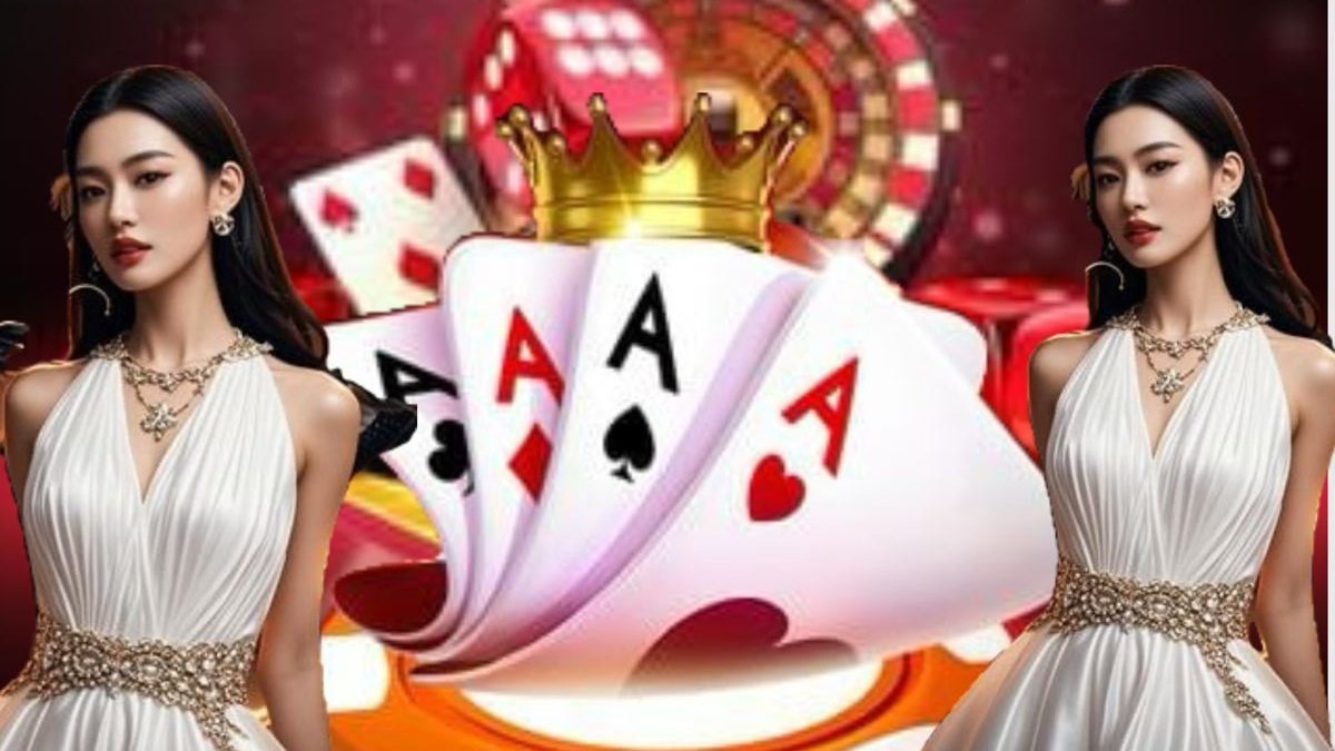to1388 bingo kamar pemula santai hadiah harian untuk pemain baru